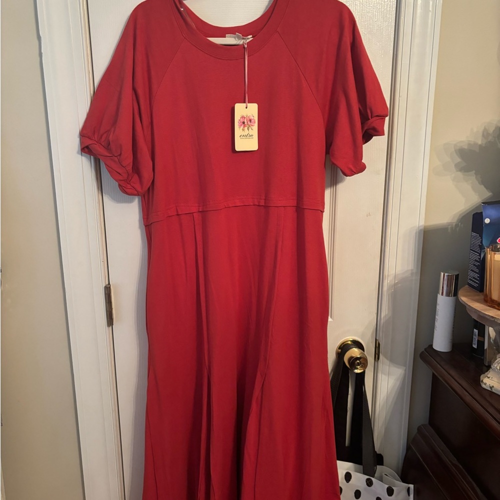 NWT entro rust dress